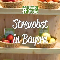 Regal in dem Körbchen mit Äpfeln und Birnen stehen. "Streuobst in Bayern"