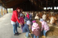 Aktionstag zum Weltschulmilchtag