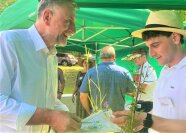 Männer unter Pavillion mit Pflanzen