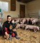 Landwirt sitzt im Stall mit Kind auf dem Schoß vor einer Gruppe Schweine
