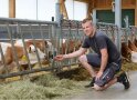 Jungbauer kniet im Stall bei seinen Kühen