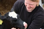 Landwirtin hält Kälbchen 