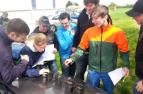 Studierende untersuchen verschiedene Bodenproben