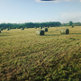 Runde Ballen siliertes Kleegras auf dem Feld