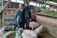 Bauer und Bäuerin von Ferkeln umringt