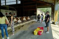 Schriftzug Erlebnis Bauernhof - Lernprogramme für Grund- und Förderschulen