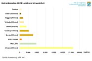 Weizen ca 12500 Hektar, Gerste ca 4500, Mais ca 4000, andere Dinkel, Triticale, Roggen, Hafer