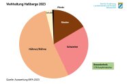 Anteil nach Anzahl Tiere: Hühner/Hähne 53%, Schweine 27%, Rinder 16%, Schafe 3%, Pferde 1%